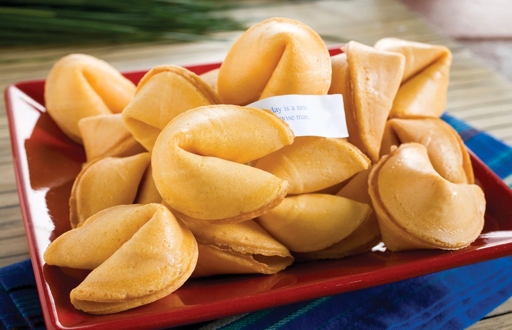 fortune cookies - cookscribe